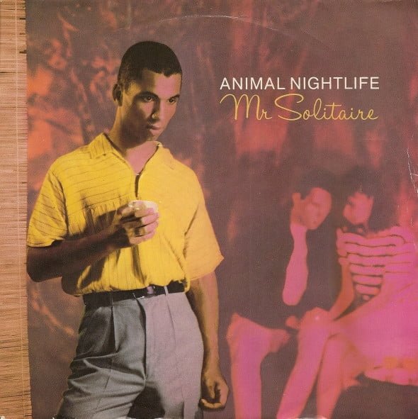 Animal Nightlife - Mr Solitaire (7