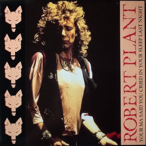 Robert Plant - Your Ma Said You Cried In Your Sleep Last Night (12