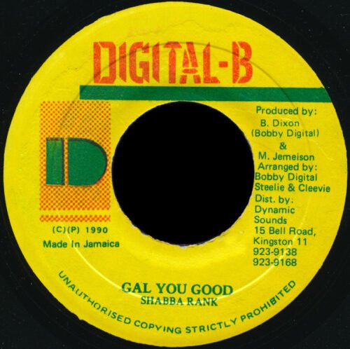 Shabba Ranks - Gal You Good