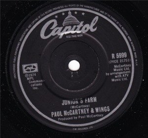 Wings (2) - Junior's Farm / Sally G