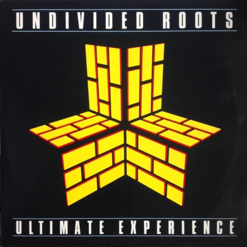 Undivided Roots - Ultimate Experience