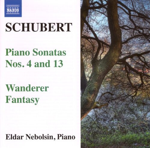 Franz Schubert - Piano Sonatas Nos. 4 And 13 • Wanderer Fantasy