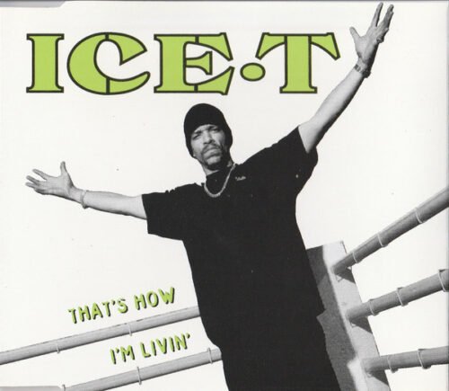 Ice-T - That's How I'm Livin'
