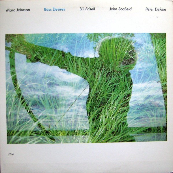 Marc Johnson (2) - Bass Desires