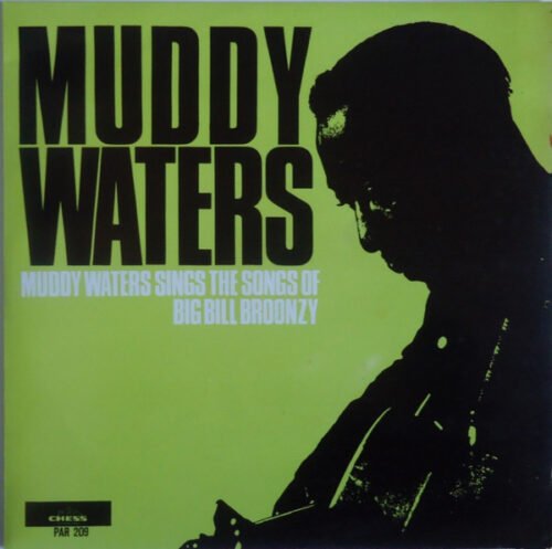 Muddy Waters - Muddy Waters Sings "Big Bill"