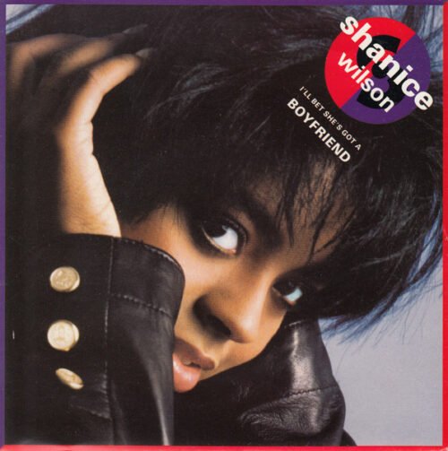 Shanice Wilson - I'll Bet She's Got A Boyfriend