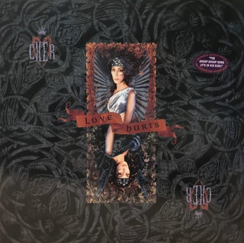 Cher - Love Hurts