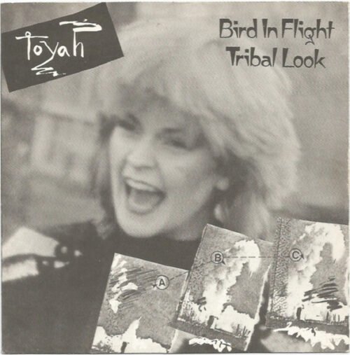 Toyah (3) - Bird In Flight / Tribal Look