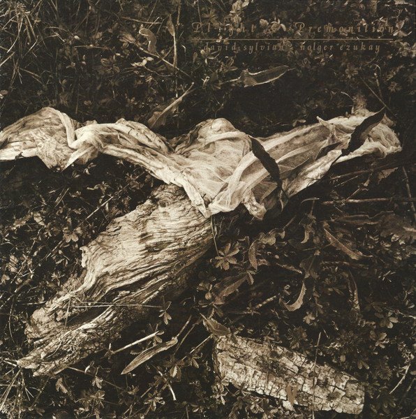 David Sylvian - Plight & Premonition