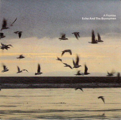 Echo & The Bunnymen - A Promise