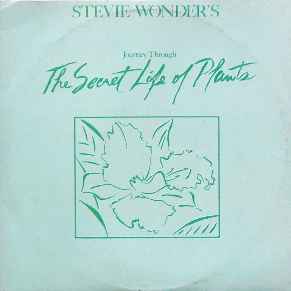 Stevie Wonder - Journey Through The Secret Life Of Plants