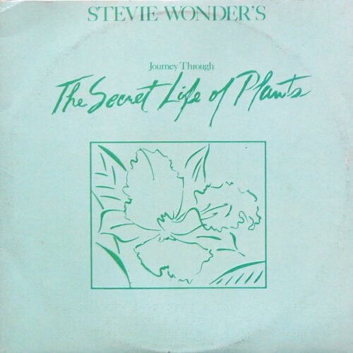 Stevie Wonder - Journey Through The Secret Life Of Plants