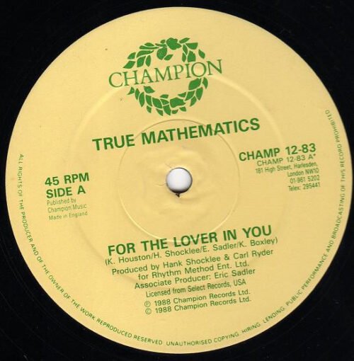 True Mathematics - For The Lover In You
