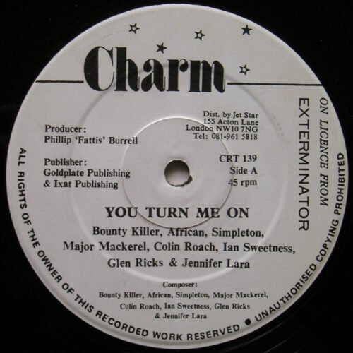 Bounty Killer - You Turn Me On