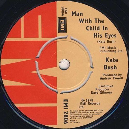 Kate Bush - Man With The Child In His Eyes