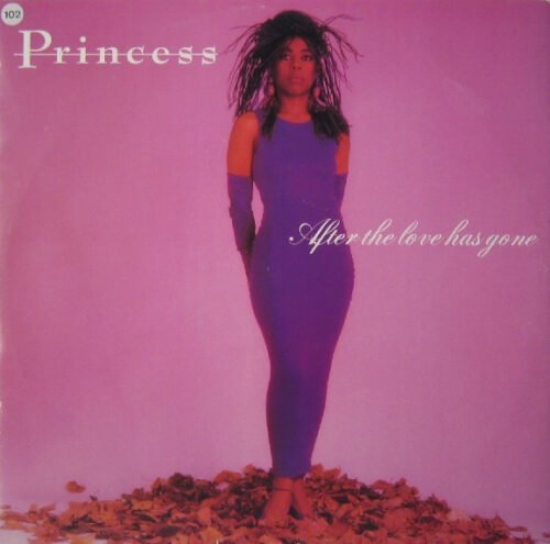 Princess - After The Love Has Gone