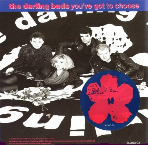 The Darling Buds - You've Got To Choose