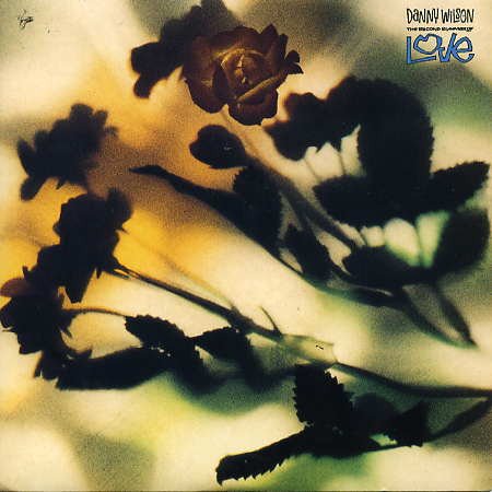 Danny Wilson (2) - The Second Summer Of Love