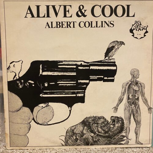 Albert Collins - Alive & Cool
