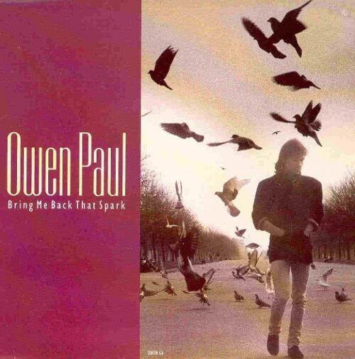 Owen Paul - Bring Me Back That Spark