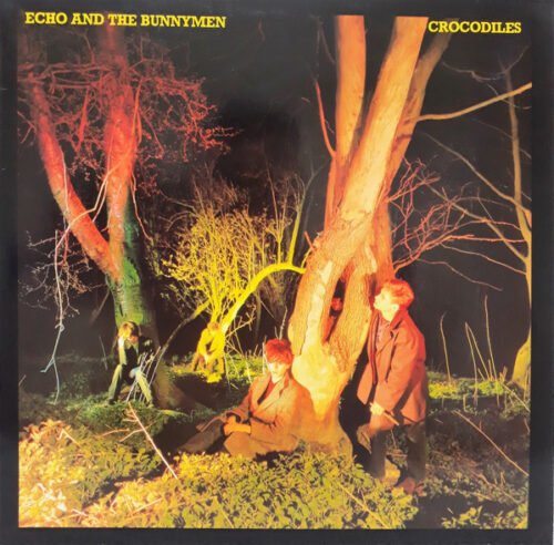 Echo & The Bunnymen - Crocodiles
