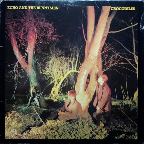 Echo & The Bunnymen - Crocodiles