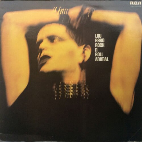 Lou Reed - Rock 'N' Roll Animal