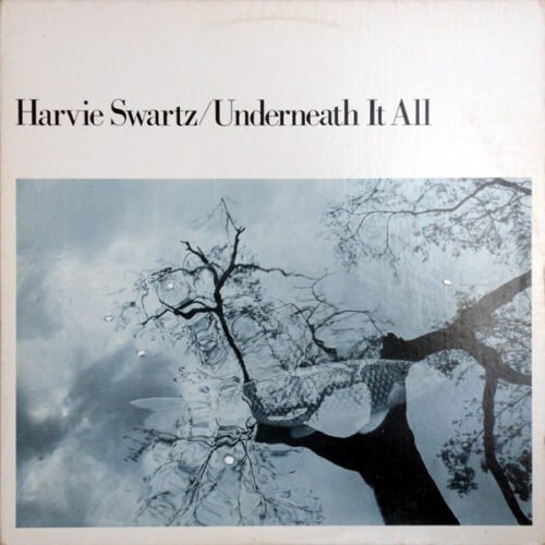 Harvie Swartz - Underneath It All