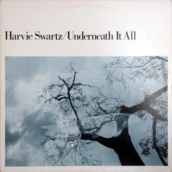 Harvie Swartz - Underneath It All