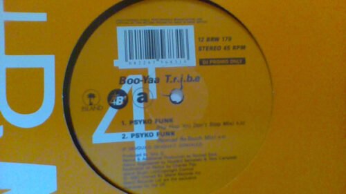 Boo-Yaa T.R.I.B.E. - Psyko Funk