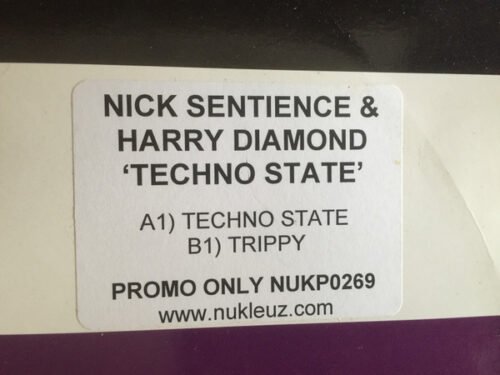 Nick Sentience - Techno State