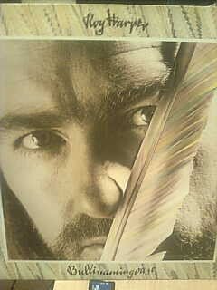 Roy Harper - Bullinamingvase