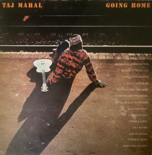 Taj Mahal - Going Home