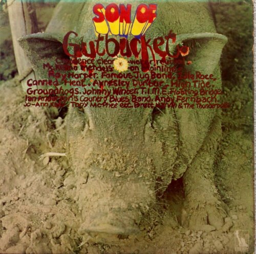 Various - Son Of Gutbucket