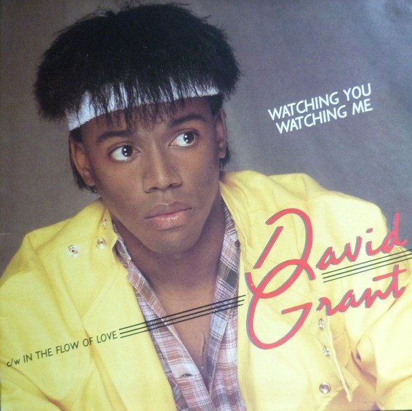 David Grant - Watching You, Watching Me