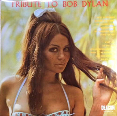 Dave Travis (2) - Tribute To Bob Dylan