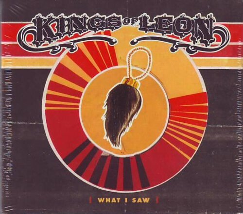 Kings Of Leon - What I Saw