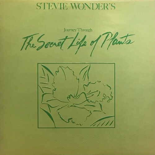 Stevie Wonder - Journey Through The Secret Life Of Plants