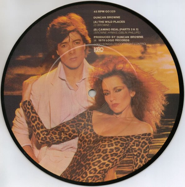 Duncan Browne - The Wild Places vinyl record