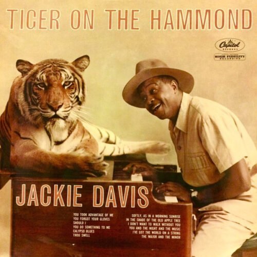 Jackie Davis - Tiger On The Hammond