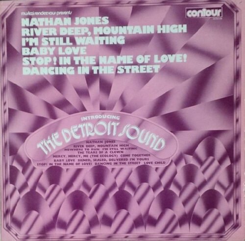 The Detroit Sound - Introducing The Detroit Sound