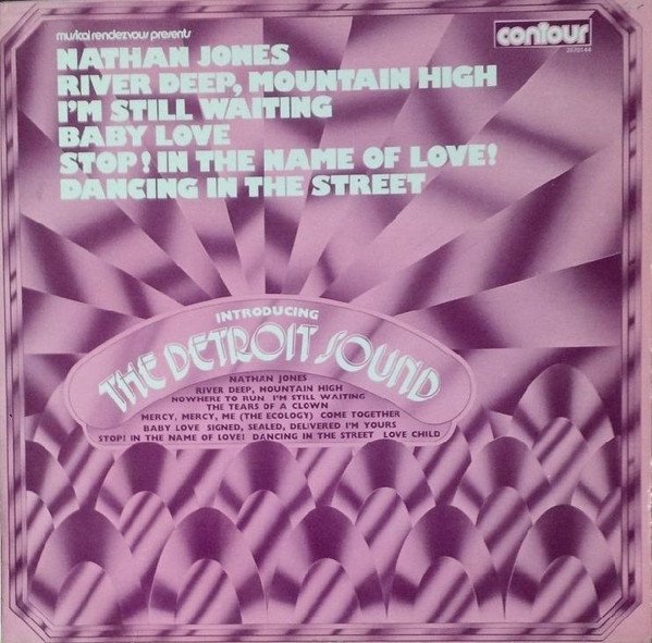 The Detroit Sound - Introducing The Detroit Sound