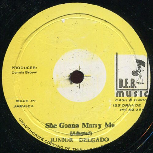 Junior Delgado - She Gonna Marry Me / Dim Lights