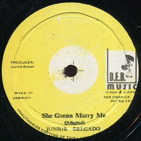 Junior Delgado - She Gonna Marry Me / Dim Lights vinyl record