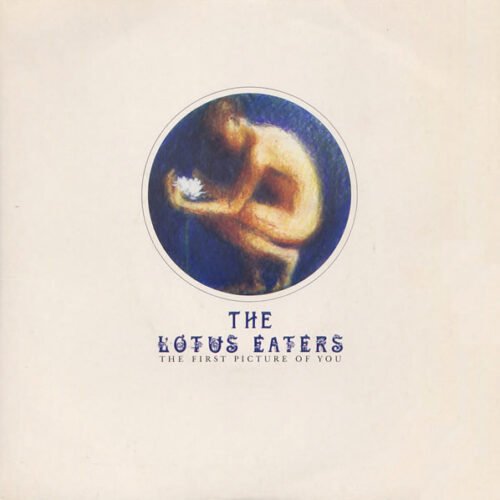 The Lotus Eaters - The First Picture Of You