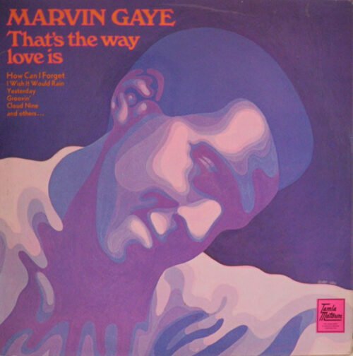 Marvin Gaye - That's The Way Love Is