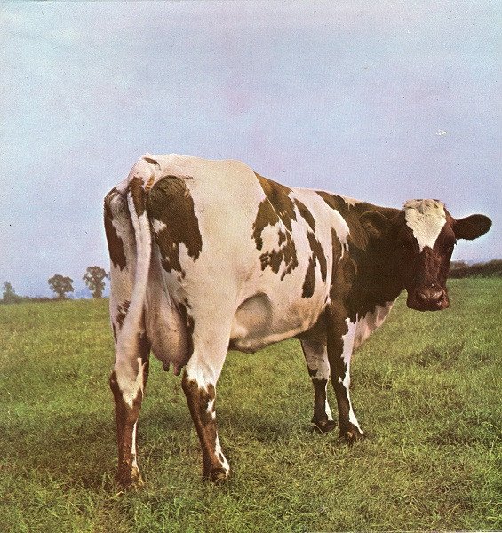 Pink Floyd - Atom Heart Mother vinyl record